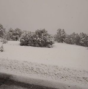 Meet your Posher, Shelly